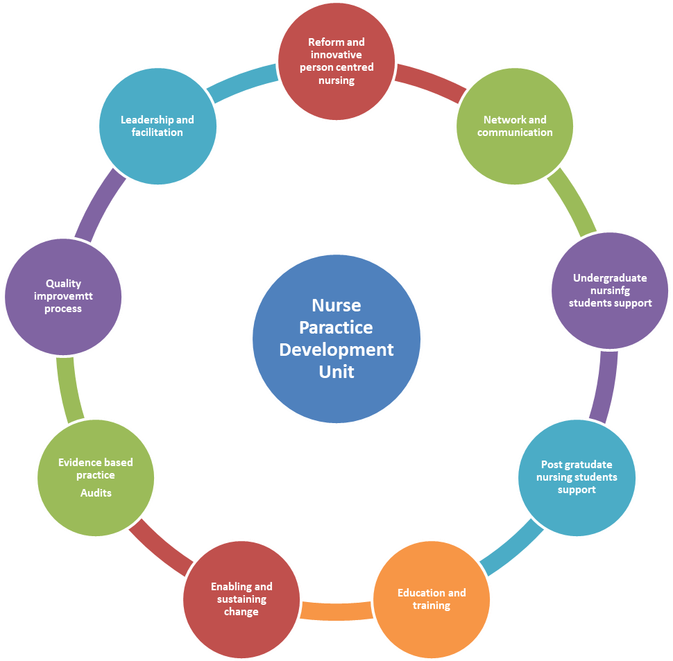 Nurse Practice Development Unit Saolta University Health Care Group